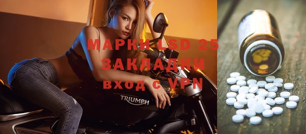 mdpv Каменка
