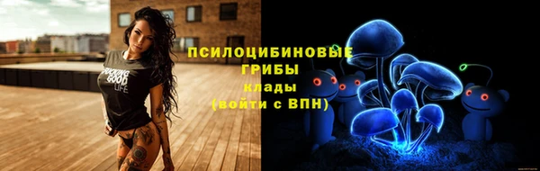 apvp Карпинск