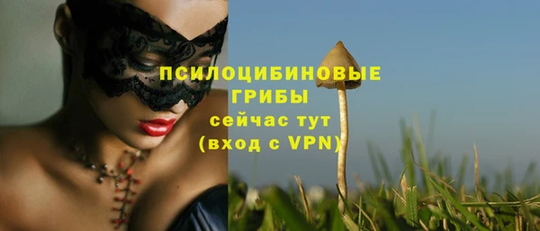 кокаин перу Каменногорск