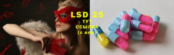 mdpv Каменка